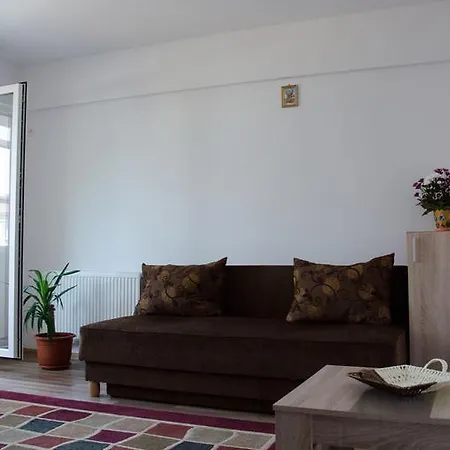 Apartment Apartament Victor *